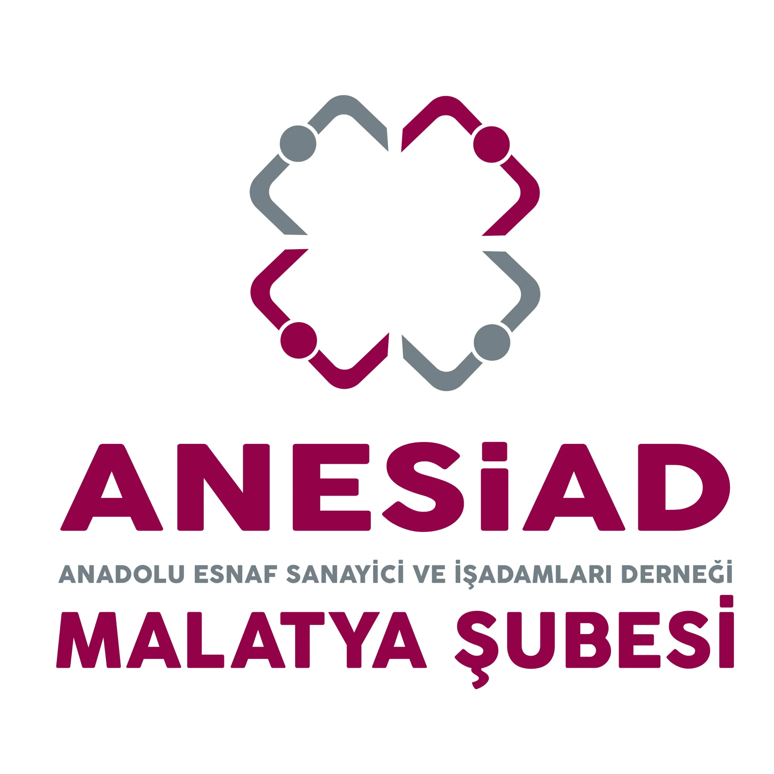 Anesiad Logo