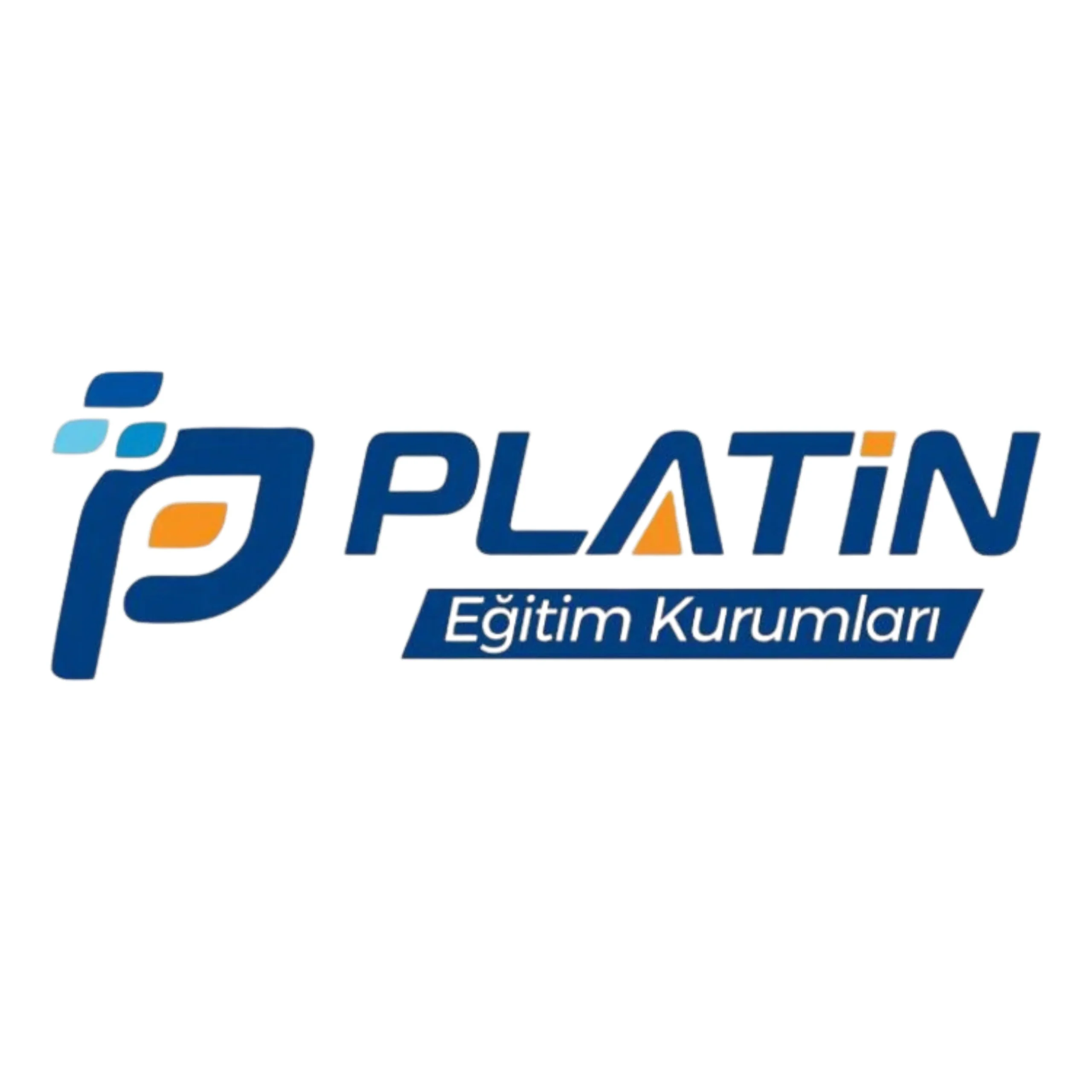 Platin Eğitim Logo