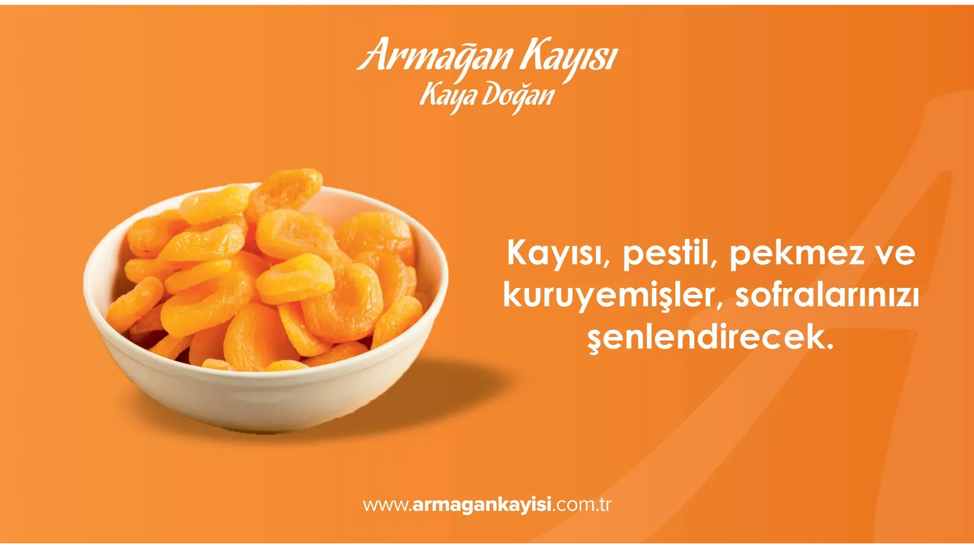 nova creative slider çalışması (5)